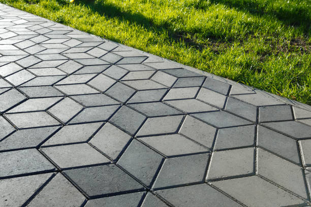 Best Driveway Paving Company  in Pinetops, NC