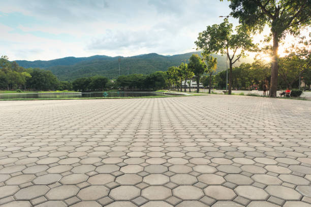 Professional Driveway Pavers in Pinetops, NC