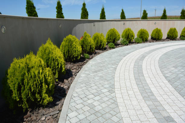 Best Residential Driveway Paver Services  in Pinetops, NC