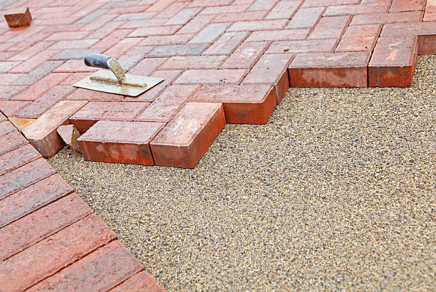Best Professional Driveway Pavers  in Pinetops, NC