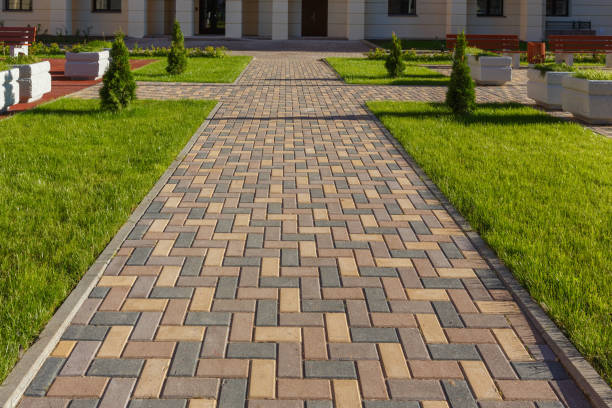 Best Custom Driveway Pavers  in Pinetops, NC